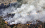 Screen capture from video of the scene of a forest fire in Ras el-Harf village, in the Baabda district, Lebanon, October 9, 2020. (AP)