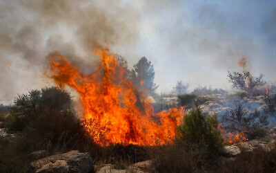 A fire rages near the Kfar HaOranim settlemet in the West Bank, October 9, 2020 (Yossi Aloni/Flash90)