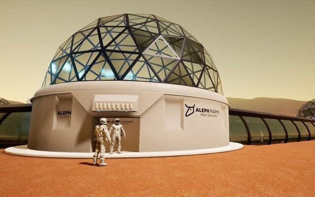 An illustrative image of BioFarm's Israeli startup Aleph Farms hopes to set up on the Moon or Mars, as part of a consortium with space agencies, to grow meat locally (Courtesy) An illustrative image of BioFarm's Israeli startup Aleph Farms hopes to set up on the Moon or Mars, as part of a consortium with space agencies, to grow meat locally (Courtesy)
