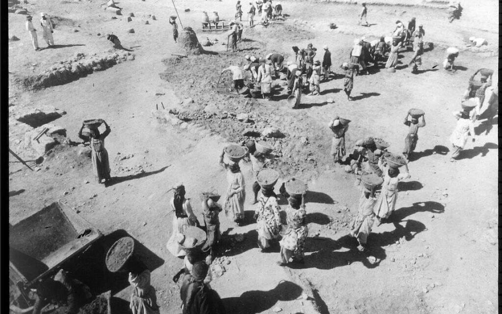 Workers in late 1926 clear surface squares at Megiddo. (courtesy Oriental Institute of the University of Chicago)