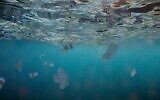 Plastic waste in the sea. (dottedhippo/iStock by Getty Images)