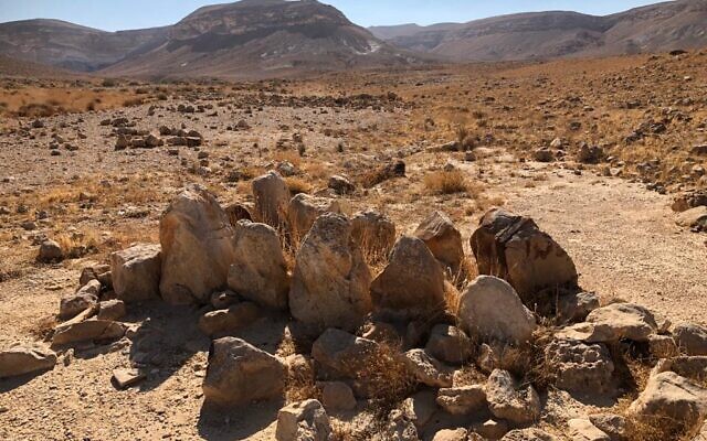 Twelve standing stones at the base of Mount Karkom, said by one expert to recall 'altar stones' described in the Bible. (Sue Surkes/Times of Israel)