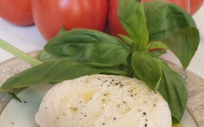 A mozarella cheese ball made with Remilk's milk proteins (Courtesy)