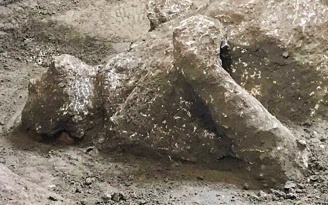 The casts of one of two bodies that are believed to have been a rich man and his male slave fleeing the volcanic eruption of Vesuvius nearly 2,000 years ago, are seen in what was an elegant villa on the outskirts of the ancient Roman city of Pompeii destroyed by the eruption in 79 A.D., where they were discovered during recents excavations, Pompeii archaeological park officials said Saturday, Nov. 21, 2020 (Parco Archeologico di Pompei via AP)