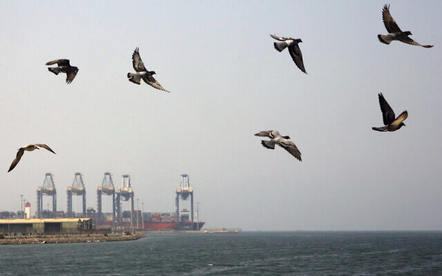 File: Seagulls fly over the Red Sea port city of Jiddah, Saudi Arabia, Oct. 11, 2019 (AP Photo/Amr Nabil) File: Seagulls fly over the Red Sea port city of Jiddah, Saudi Arabia, Oct. 11, 2019 (AP Photo/Amr Nabil)