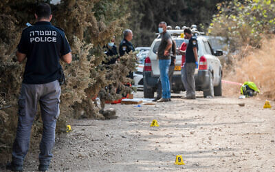 Police officers and forensic investigators at the scene of a suspected triple murder at the Tel Dan national park in northern Israel, November 1, 2020. (Basel Awidat/Flash90)
