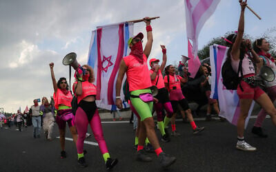 Protesters march to Jerusalem on Highway 1 as part of a demonstration against Prime Minister Benjamin Netanyahu, on November 14, 2020 (Yonatan Sindel/Flash90)