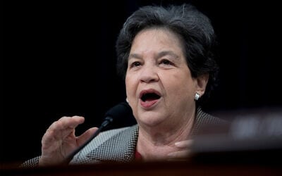 US Rep. Lois Frankel, D-Fla., speaks as Secretary of State Mike Pompeo appears before a House Appropriations subcommittee hearing on the budget on Capitol Hill, in Washington. March 27, 2019. (AP Photo/Andrew Harnik, File)