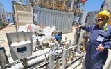 Environmental Protection Ministry marine unit inspector Yevgeni Malkin aboard the Leviathan natural gas rig. (Environmental Protection Ministry)