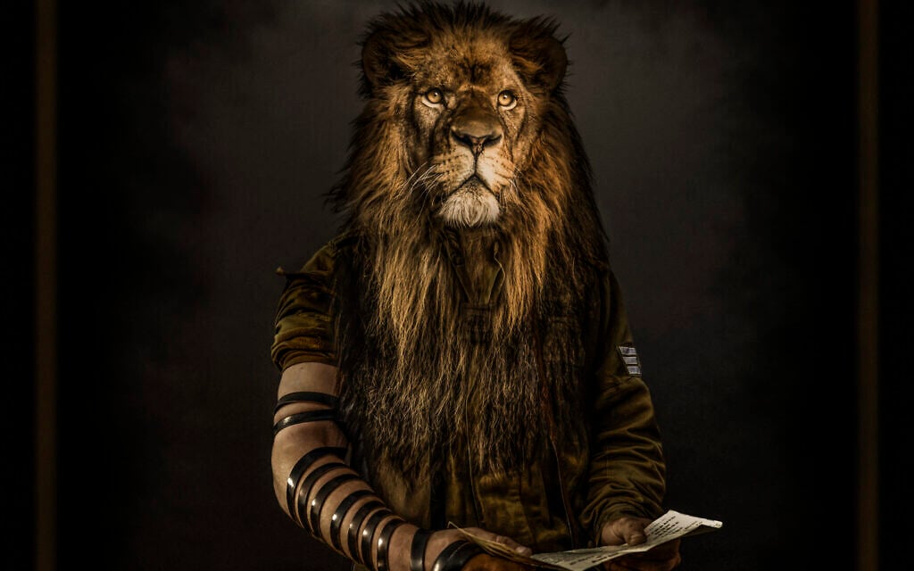 'The Lion From Zion,' created by Moses Pini Siluk to raise morale among Israeli soldiers injured during the last war with Hamas in Gaza. (Moses Pini Siluk)