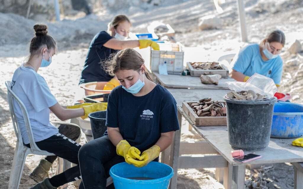 Beit Harel pre-military program students washing finds at the Beit Nattif archaeological excavation. (Yoli Schwartz/Israel Antiquities Authority)