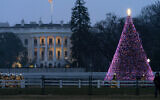 The National Christmas Tree glows with lights on the Ellipse near the White House, Thursday, Dec. 24, 2020, on Christmas Eve in Washington. (AP/Jacquelyn Martin)