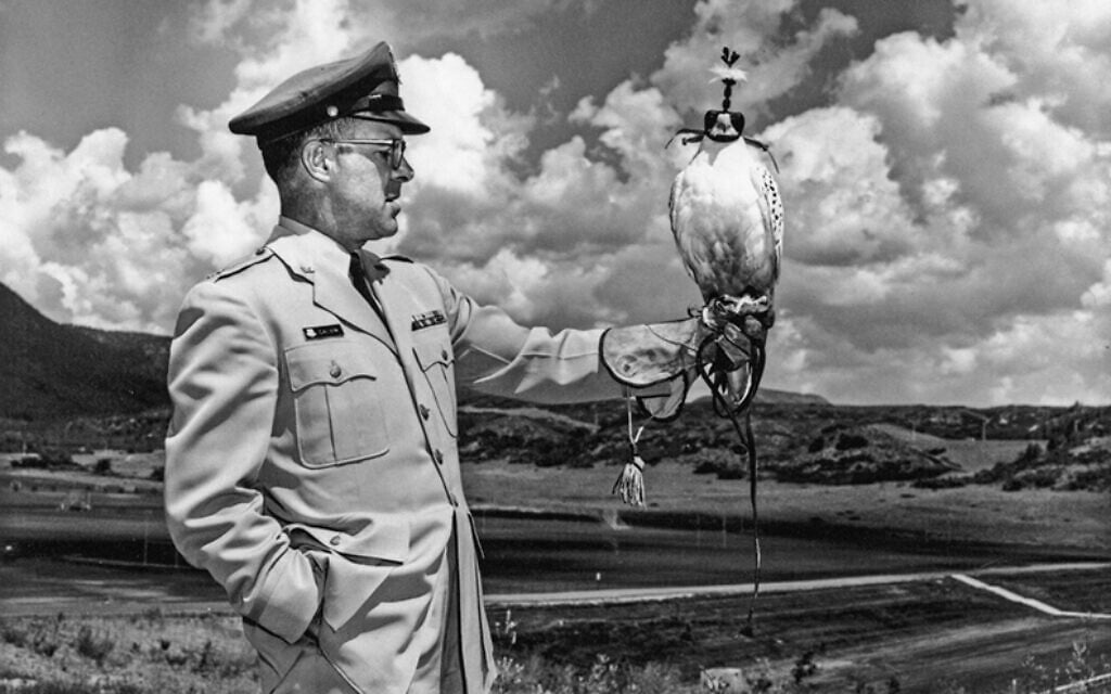 Don Galvin, the falconer. (Courtesy of the Galvin family)