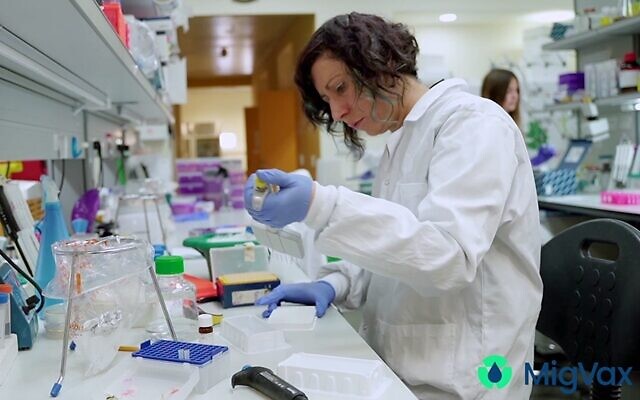 Working on the MigVax Covid-19 vaccine in the Galilee (MigVax) Working on the MigVax Covid-19 vaccine in the Galilee (MigVax)