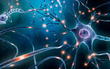Illustrative: A neuron network with electrical activity of neuron cells (libre de droit; iStock by Getty Images)
