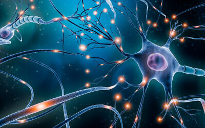 Illustrative: A neuron network with electrical activity of neuron cells (libre de droit; iStock by Getty Images)
