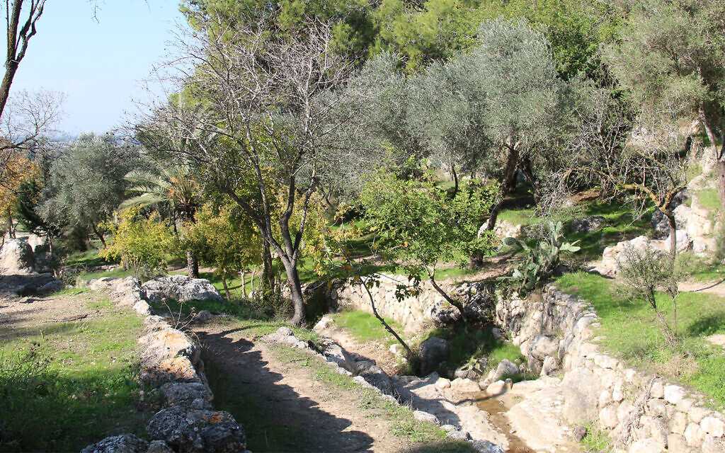 The Valley of the Springs outside Modiin features archaeological remains including Roman-era residential caves and stone aqueducts. (Shmuel Bar-Am)