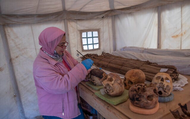 An archaeologist brushes ancient skulls for the media on display that Egyptian archaeologist Zahi Hawass and his team unearthed in a vast necropolis filled with burial shafts, coffins and mummies dating back to the New Kingdom 3000 BC, January 17, 2021, in Saqqara, south of Cairo, Egypt. (AP Photo/Nariman El-Mofty)