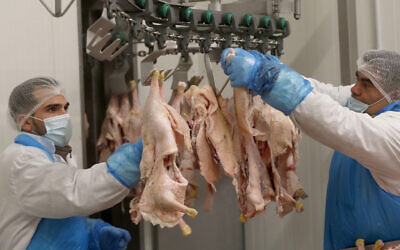 Illustrative: Staff work on the production line of Kosher poultry meat in a Kosher slaughterhouse in Csengele, Hungary, on January 15, 2021. (AP Photo/Laszlo Balogh) Illustrative: Staff work on the production line of Kosher poultry meat in a Kosher slaughterhouse in Csengele, Hungary, on January 15, 2021. (AP Photo/Laszlo Balogh)