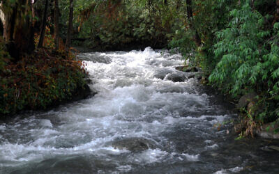 A view of the Hatzbani, or Snir, stream in northern Israel, 2009. (Hamad Almakt/Flash 90)