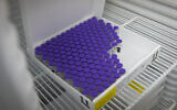 Vials of Pfizer-BioNTech's coronavirus vaccine arrive at a Clalit vaccination center in Jerusalem on January 4, 2021. (Olivier Fitoussi/Flash90)
