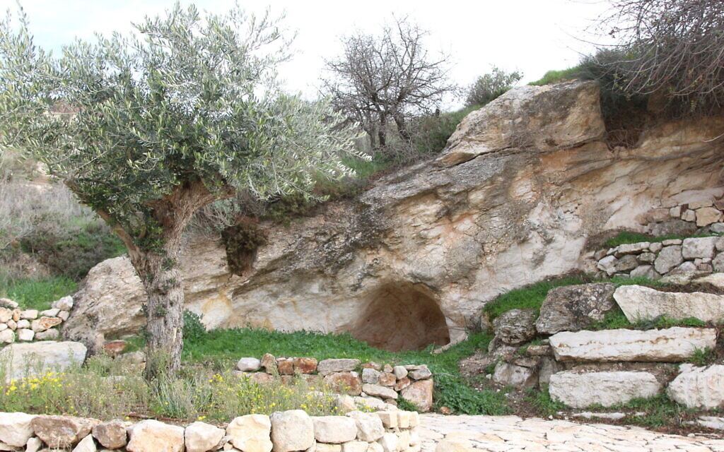 Seen during the walk at Emek Tzurim. (Aviva and Shmuel Bar-Am)