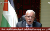 Palestinian Authority Foreign Minister Riyad al-Maliki addresses the United Nations Security Council on January 26, 2021 (screenshot: Palestine TV)