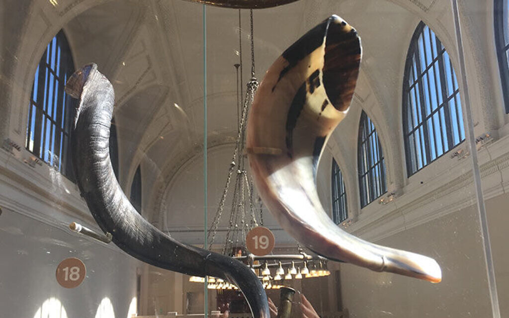 A pair of historical ram's-horn shofars from The Metropolitan Museum of Art collection. (Bradley Strauchen-Scherer)