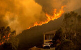Flames crest a ridge in Salinas, Calif, Aug. 17, 2020. (AP Photo/Noah Berger)