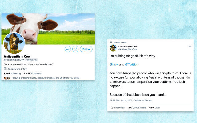 Antisemitism Cow, an anonymous account that made mooing at anti-Semitic tweets its mission, returned to lash out at Twitter. (Screenshots from Twitter via JTA) Antisemitism Cow, an anonymous account that made mooing at anti-Semitic tweets its mission, returned to lash out at Twitter. (Screenshots from Twitter via JTA)