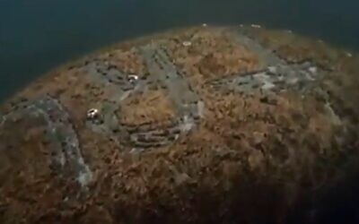 'Trump' etched onto the hide of a manatee off the Florida coast, January 12, 2020 (Screen grab/Twitter)