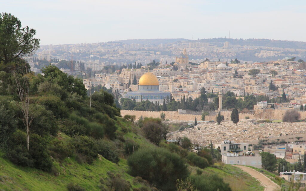 A view of Jerusalem, from Emek Tzurim. (Aviva and Shmuel Bar-Am)
