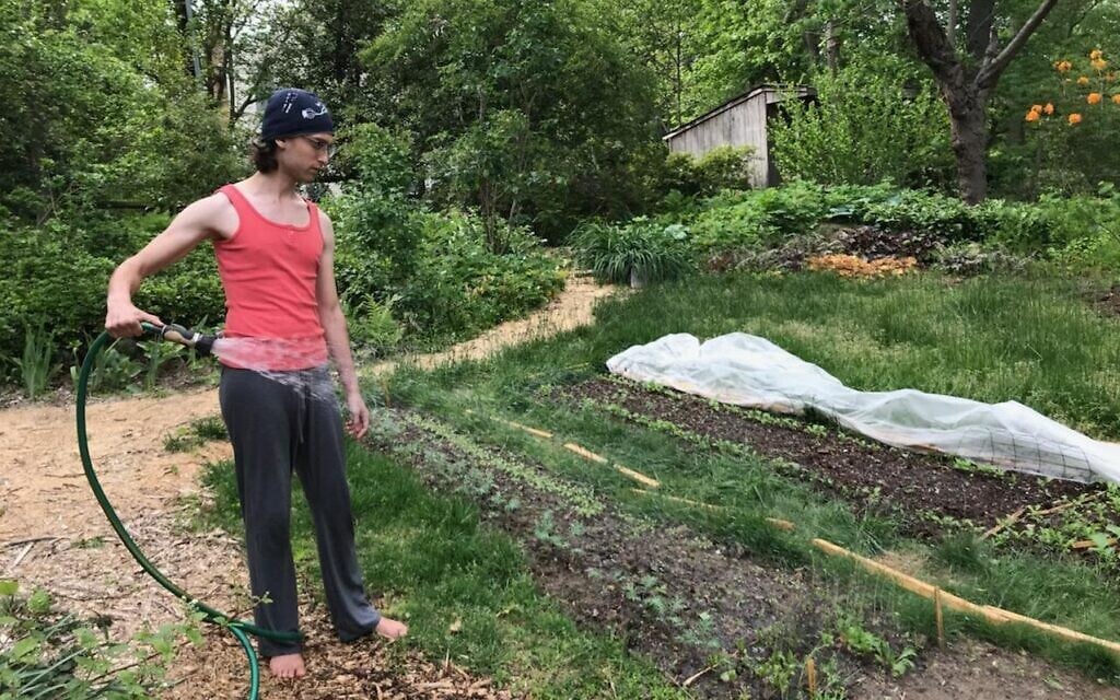 Alex Kohanski began using gender-neutral pronouns on their first day of the Adamah Jewish farming fellowship. (Courtesy of Kohanski)/ via JTA