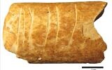 A bone fragment discovered near Ramle, Israel with deliberate etchings on that may be the earliest-known use of symbols. (Marion Prévost)