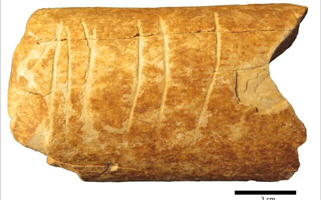 A bone fragment discovered near Ramle, Israel with deliberate etchings on that may be the earliest-known use of symbols. (Marion Prévost) A bone fragment discovered near Ramle, Israel with deliberate etchings on that may be the earliest-known use of symbols. (Marion Prévost)