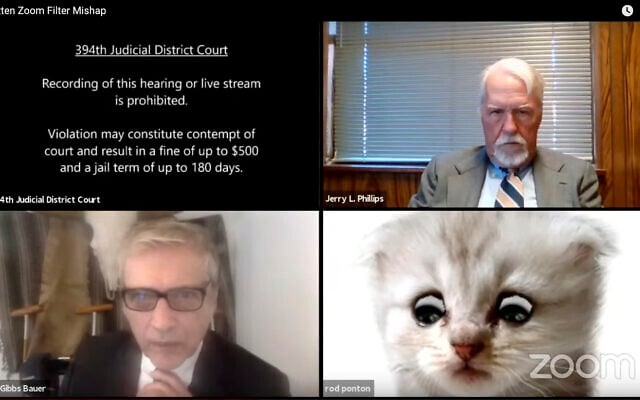 This image from video shows a hearing from the 394th Judicial District Court of Texas. The hearing took a detour when an attorney showed up looking like a kitten. A filter that had been activated on the attorney's device obscured his appearance and made him look like a cat. Judge Roy Ferguson shared the short video clip of the mishap on YouTube. The judge says everyone involved handled the situation with professionalism and grace. (Texas Department of Criminal Justice via AP) This image from video shows a hearing from the 394th Judicial District Court of Texas. The hearing took a detour when an attorney showed up looking like a kitten. A filter that had been activated on the attorney's device obscured his appearance and made him look like a cat. Judge Roy Ferguson shared the short video clip of the mishap on YouTube. The judge says everyone involved handled the situation with professionalism and grace. (Texas Department of Criminal Justice via AP)
