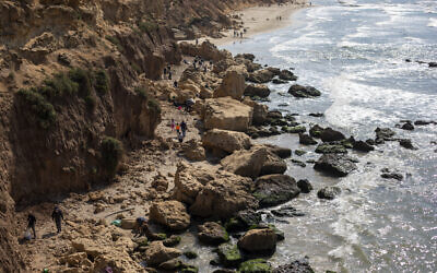 People clean tar from an oil spill in the Mediterranean sea in Gador nature reserve near Hadera, Israel, Saturday, Feb. 20, 2021. (AP Photo/Ariel Schalit) People clean tar from an oil spill in the Mediterranean sea in Gador nature reserve near Hadera, Israel, Saturday, Feb. 20, 2021. (AP Photo/Ariel Schalit)