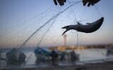 Fishermen remove fish from nets after returning from a fishing trip on the Mediterranean Sea, in the Israeli Arab village of Jisr az-Zarqa, in the early morning of Thursday, Feb. 25, 2021 (AP Photo/Ariel Schalit)