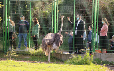 People enjoy a park in Ashdod on February 14, 2020. (Gershon Elinson/Flash90)
