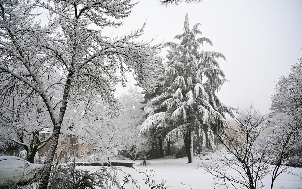 The snow-covered landscape in the Golan Heights, northern Israel, February 18, 2021 (Michael Giladi/ Flash 90)