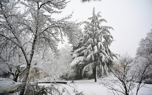 The snow-covered landscape in the Golan Heights, northern Israel, February 18, 2021 (Michael Giladi/ Flash 90) The snow-covered landscape in the Golan Heights, northern Israel, February 18, 2021 (Michael Giladi/ Flash 90)