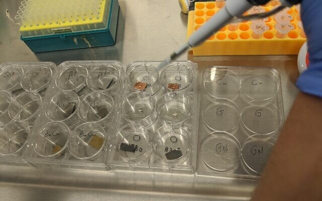A researcher places drops of coronavirus suspension on sterile surfaces prior to ozone exposure. (Tel Aviv University) A researcher places drops of coronavirus suspension on sterile surfaces prior to ozone exposure. (Tel Aviv University)
