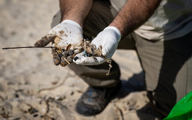 Israelis clean tar off the Palmachim beach following an offshore oil spill which contaminated most of the Israeli coastline. February 22, 2021. (Yonatan Sindel/Flash90) Israelis clean tar off the Palmachim beach following an offshore oil spill which contaminated most of the Israeli coastline. February 22, 2021. (Yonatan Sindel/Flash90)