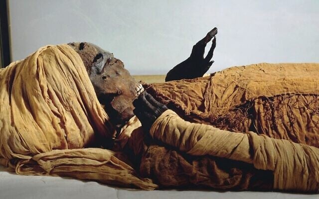 The mummified remains of Egyptian pharaoh Seqenenre Tao II (Courtesy) The mummified remains of Egyptian pharaoh Seqenenre Tao II (Courtesy)