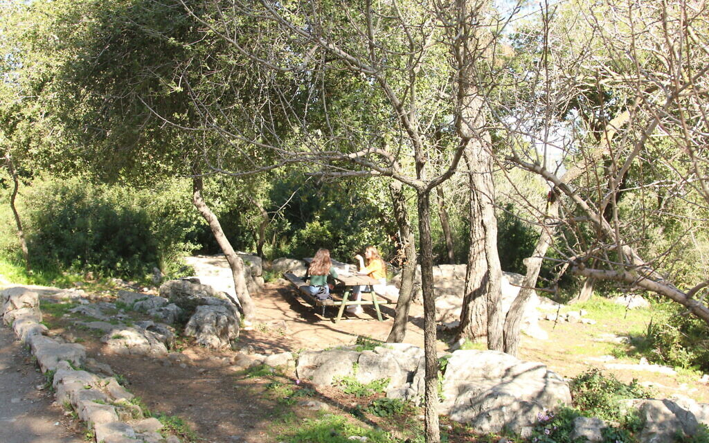 Hikers rest at a table below the accessible path above the Ktalav riverbed. (Shmuel Bar-Am)