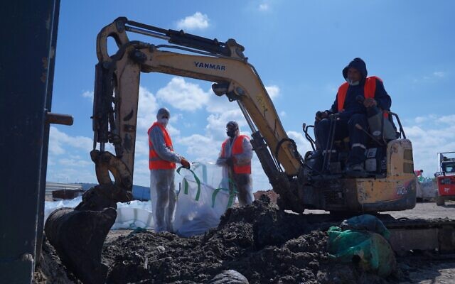 Removing tar from an unspecified beach, February 28, 2021. (Elad Yaakov, Government Presss Office) Removing tar from an unspecified beach, February 28, 2021. (Elad Yaakov, Government Presss Office)