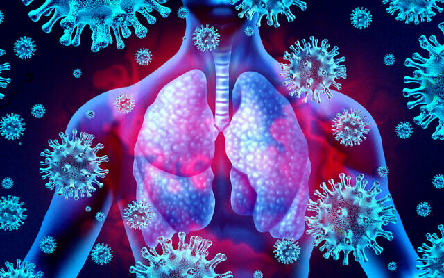 Illustrative image: lungs infected by the coronavirus (wildpixel via iStock by Getty Images) Illustrative image: lungs infected by the coronavirus (wildpixel via iStock by Getty Images)