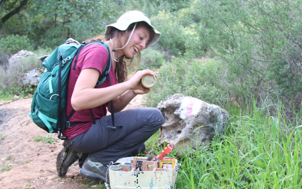 A volunteer repainting trail markers in the KKL-JNF's US Independence Park (Shmuel Bar-Am)