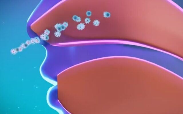 An illustration by Nasus Pharma, makers of the Taffix spray, showing the novel coronavirus entering the nasal cavity. (Screenshot) An illustration by Nasus Pharma, makers of the Taffix spray, showing the novel coronavirus entering the nasal cavity. (Screenshot)