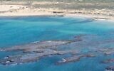 Photographs of tar contamination along Israel's northern beaches, taken from a helicopter by Israel Nature and Parks Authority Director, Shaul Goldstein, on February 22, 2021.